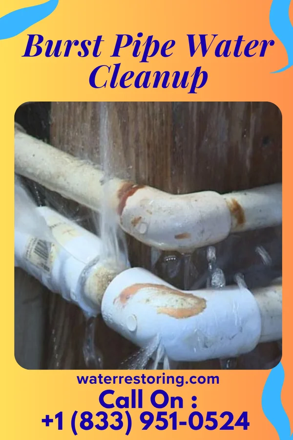 Burst Pipe Water Cleanup in Hunter, OH