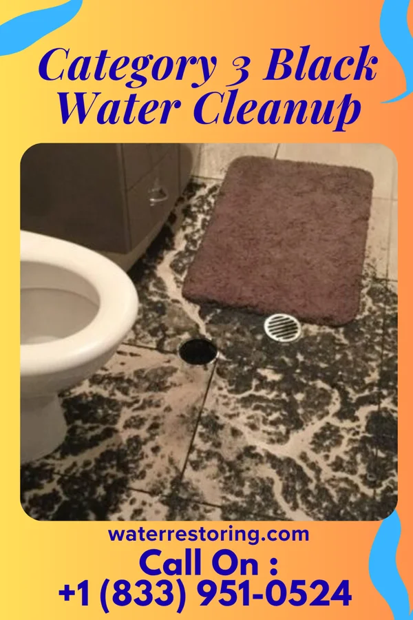 Category 3 Black Water Cleanup in Hunter, OH