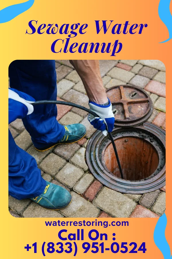 Sewage Water Cleanup in Hunter, OH