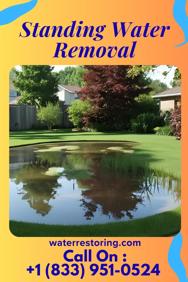Standing Water Removal in Hunter, OH